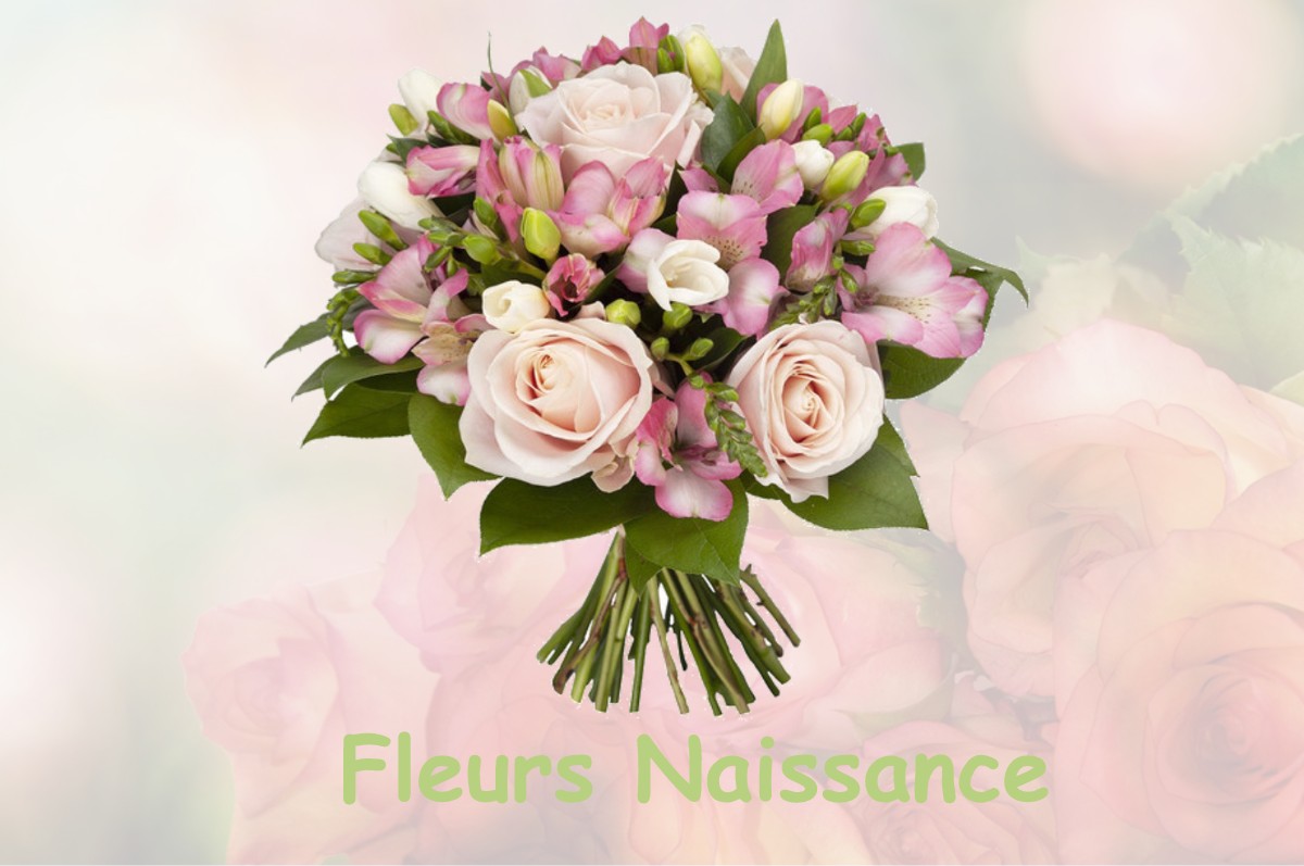 fleurs naissance SAINT-BARTHELEMY-DE-SECHILIENNE