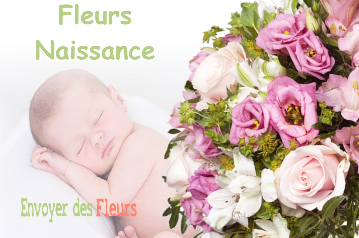 lIVRAISON FLEURS NAISSANCE à SAINT-BARTHELEMY-DE-SECHILIENNE